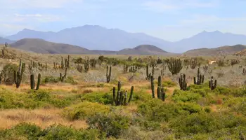 LOS CABOS / TODOS LOS SANTOS / LOS CABOS
