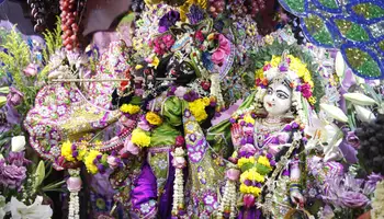 CRUCERO ABN RAJ MAHAL (CHINSURA / KALNA / MAYAPUR / KALNA)