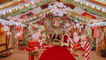 YLLÄS: SAFARI DE HUSKIES Y ENCUENTRO CON SANTA CLAUS