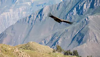 CAÑÓN DEL COLCA
