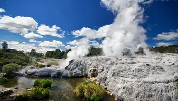 AUCKLAND / ROTORUA (229 KMS)