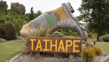 TONGARIRO / WELLINGTON (344 KM)