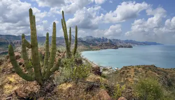 LOS CABOS/ SIERRA DE LA LAGUNA / LOS CABOS
