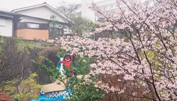 OZU / KUNISAKI / BEPPU