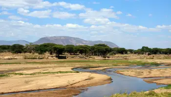PARQUE NACIONAL NYERERE (SELOUS) / PARQUE NACIONAL DE RUAHA