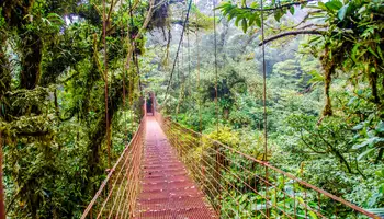 RESERVA BIOLÓGICA DE MONTEVERDE