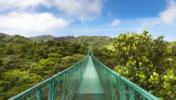 RESERVA BIOLÓGICA DE MONTEVERDE