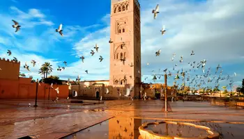 MARRAKECH