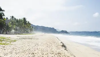 NUEVO NAYARIT