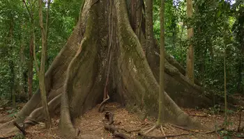 SAN JOSÉ / P N VOLCÁN ARENAL