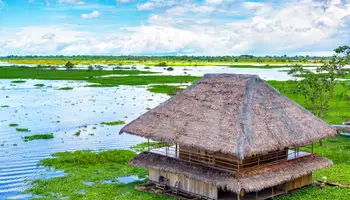 CRUCERO EN EL AMAZONAS (LAGO CLAVERO O RÍO YARAPA/RÍO AMAZONAS)