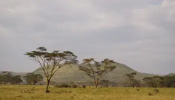 R. N. SAMBURU / P. N. ABERDARE