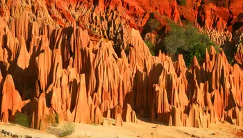 DIEGO SUÁREZ / TSINGYS ROJOS / P. N. MONTAÑA AMBRE / JOFFREVILLE