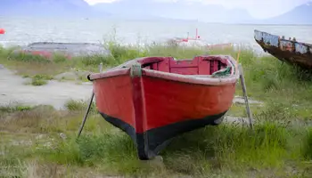 EL CALAFATE/PUERTO NATALES