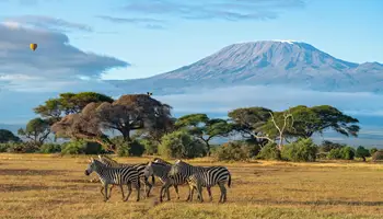 NAIROBI / P N AMBOSELI