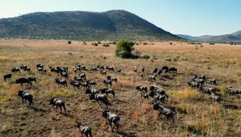 ÁREA KRUGER / PRETORIA / P. N. PILANESBERG