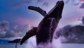 CRUCERO ALASKA / JUNEAU