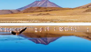 UYUNI / LAGUNA TURQUIRI / JOYAS DE LOS ANDES / DESIERTO DE SILOLI
