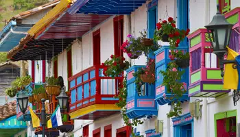 EJE CAFETERO (VALLE DE CÓCORA Y SALENTO)