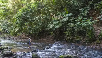 SAN JOSÉ/PN DE CORCOVADO