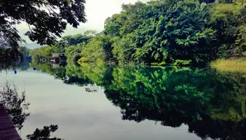 LIVINGSTON / PETÉN (NAVEGACIÓN POR EL RÍO DULCE Y VISITA A LA COMUNIDAD DE LIVINGSTON)