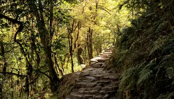 DHAMPUS/POTHANA/LANDRUK (TREKKING 6 H)