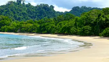 P. N. MANUEL ANTONIO