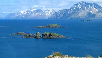 VALDEZ/ÁREA DE WASILLA (310 KM)