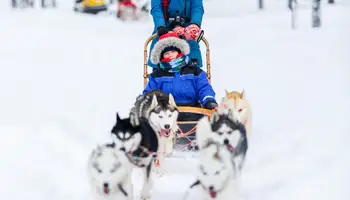 ISO SYÖTE: SAFARI EN TRINEO DE PERROS HUSKIES Y MOTOS DE NIEVE