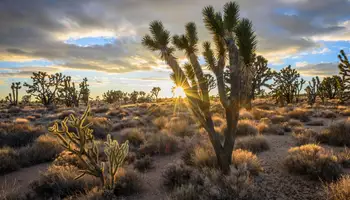 LAUGHLIN / VICTORVILLE (346 KM)