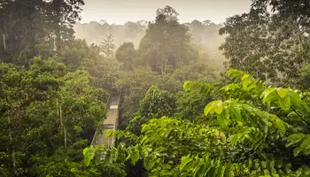 KUCHING / KOTA KINABALU