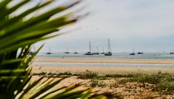 LOMPOC / SANTA BÁRBARA / LOS ÁNGELES (260 KM)