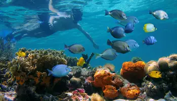 BOCAS DEL TORO