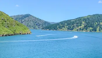 WELLINGTON / PICTON / KAIKOURA (APROX. 262 KMS)