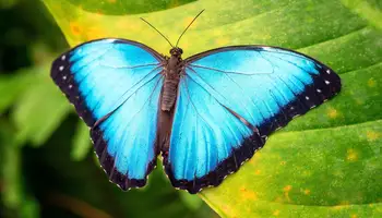 SAN JOSÉ/PN TORTUGUERO