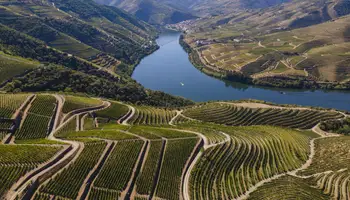 OPORTO / REGIÓN DEL DUERO / OPORTO