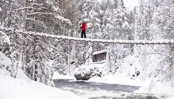 SALLA EXCURSIÓN OPCIONAL: PASEO POR EL PARQUE NACIONAL DE OULANKA