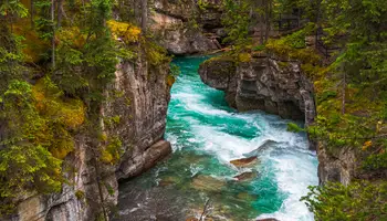 JASPER / CAÑÓN MALIGNE / KAMLOOPS (468 KM)