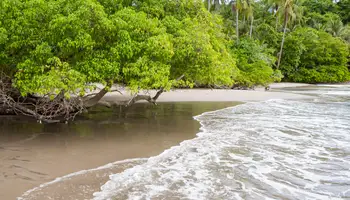 PN VOLCÁN ARENAL/P N MANUEL ANTONIO