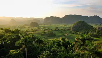 LA HABANA (VIÑALES)