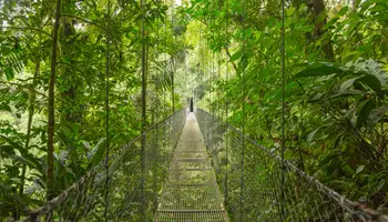 PN VOLCÁN ARENAL/PLAYA UVITA