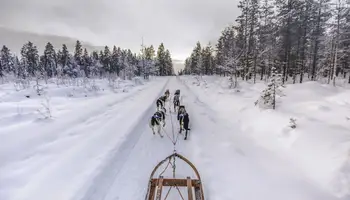 PYHÄ: SAFARI DE HUSKIES