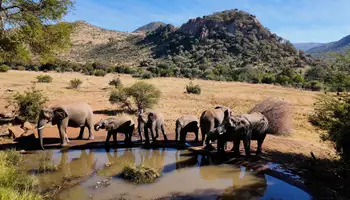 PRETORIA / PARQUE NACIONAL DE PILANESBERG