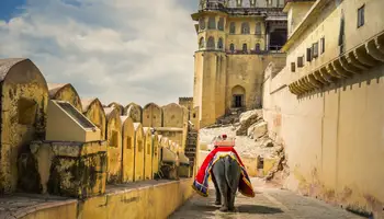 JAIPUR / AMBER / JAIPUR