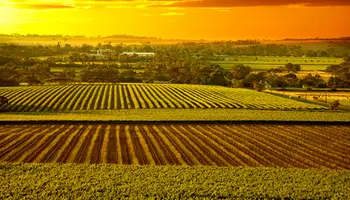 THE INDIAN PACIFIC (VALLE DE BAROSSA)