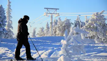 PYHÄ: SAFARI DE HUSKIES