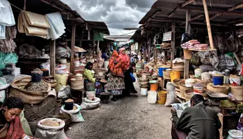 KILIMANJARO/ARUSHA/ P. N. LAGO MANYARA O P. N. TARANGIRE