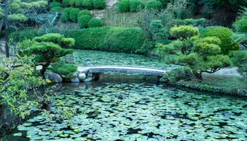 NARUTO / TAKAMATSU / MATSUYAMA / OZU