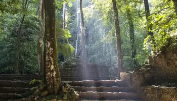 PALENQUE / CAMPECHE
