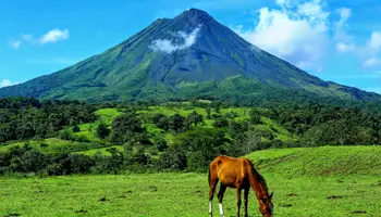 PN TORTUGUERO/PN VOLCÁN ARENAL